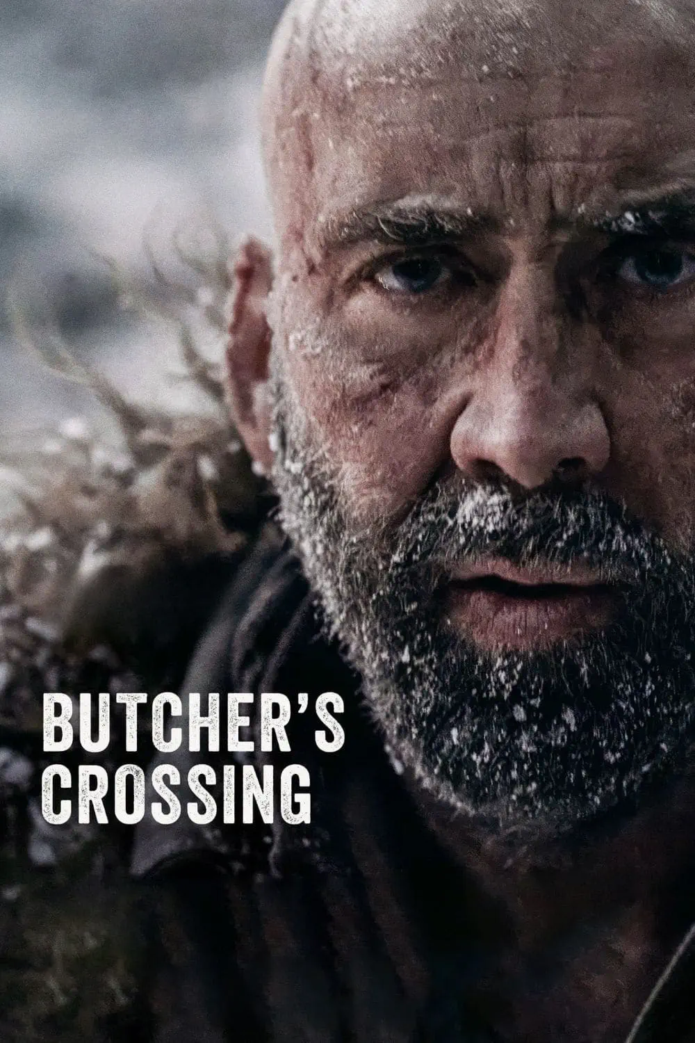 صورة Butcher's Crossing