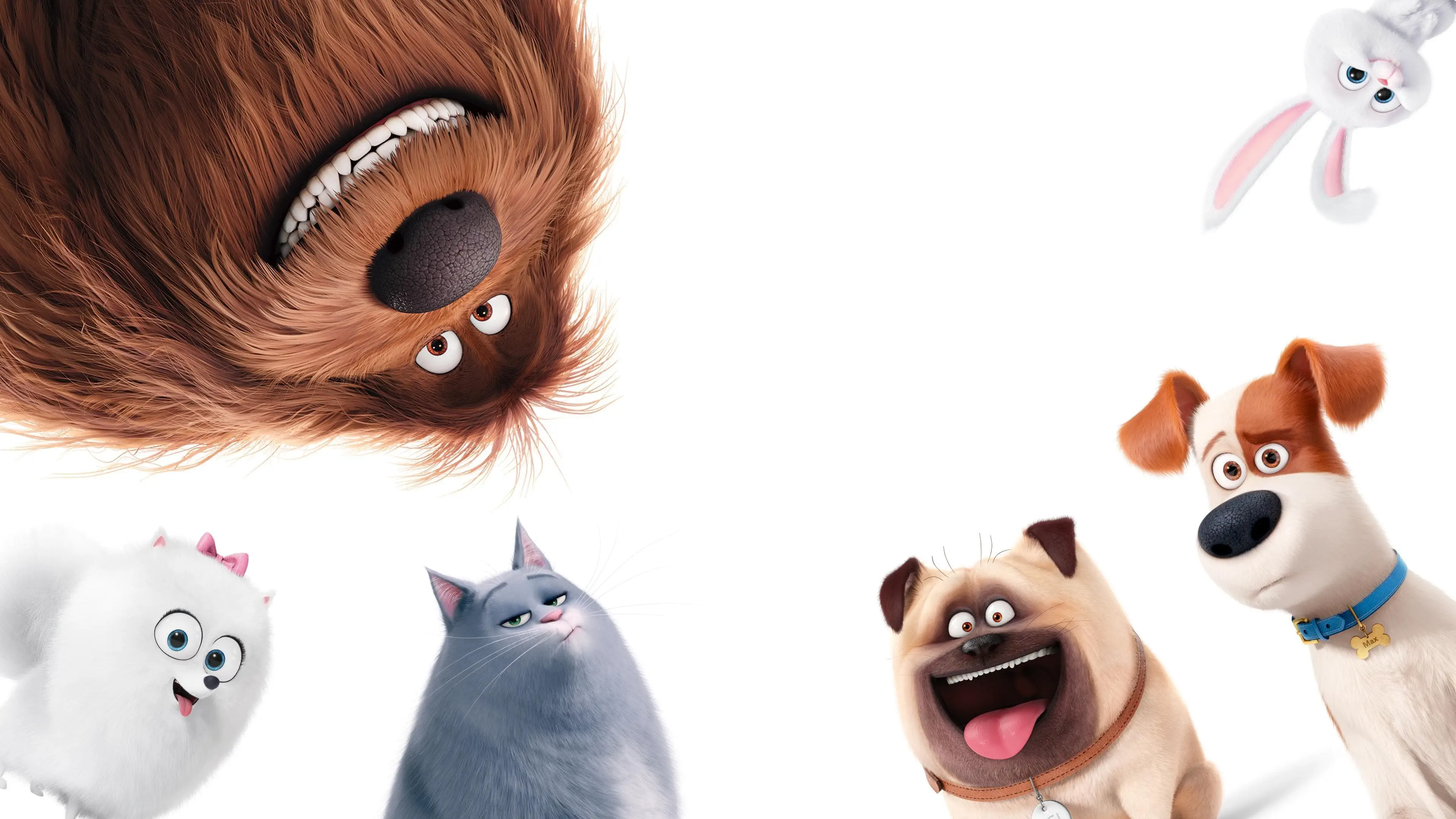 The Secret Life of Pets