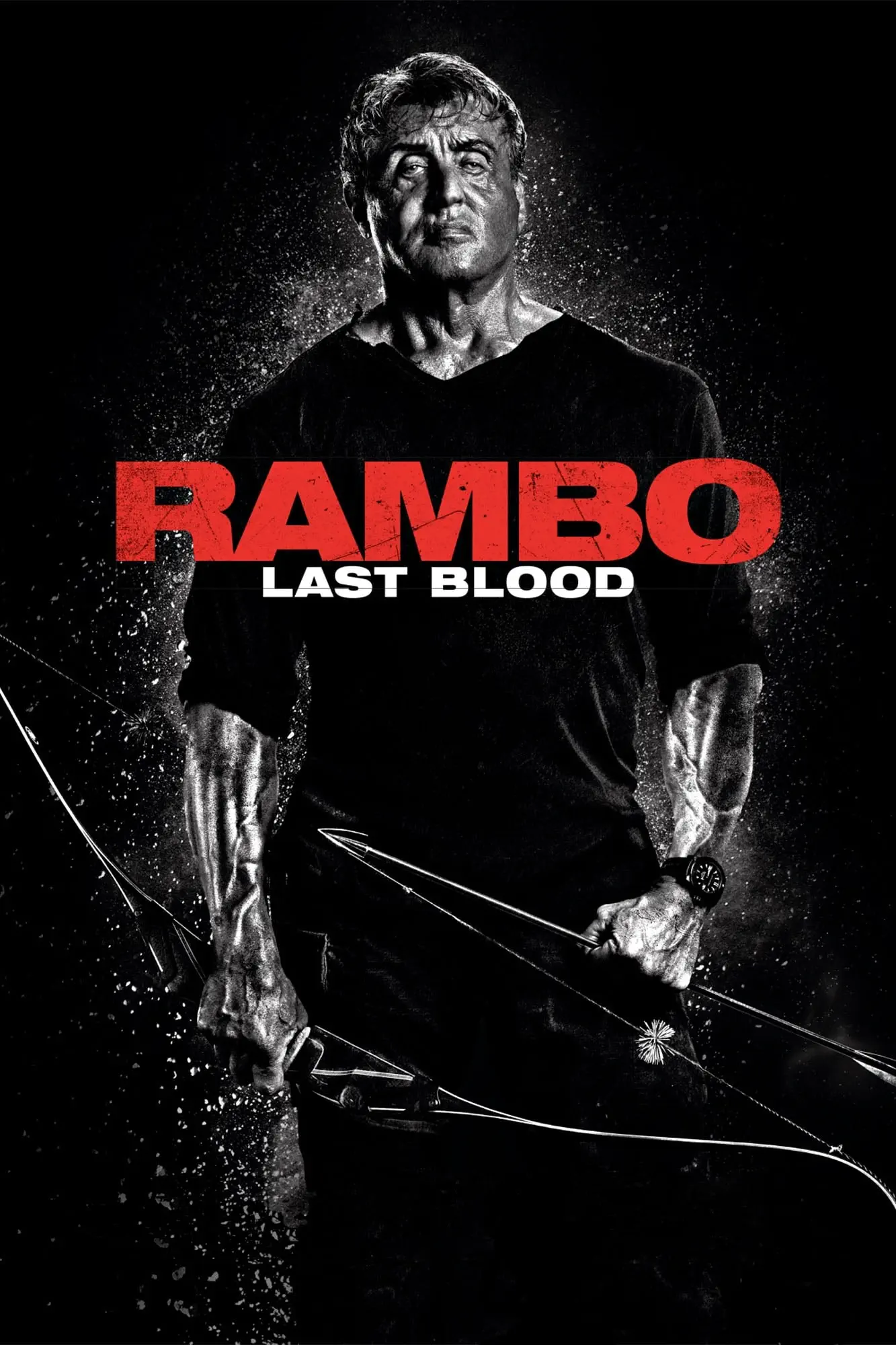 صورة Rambo: Last Blood