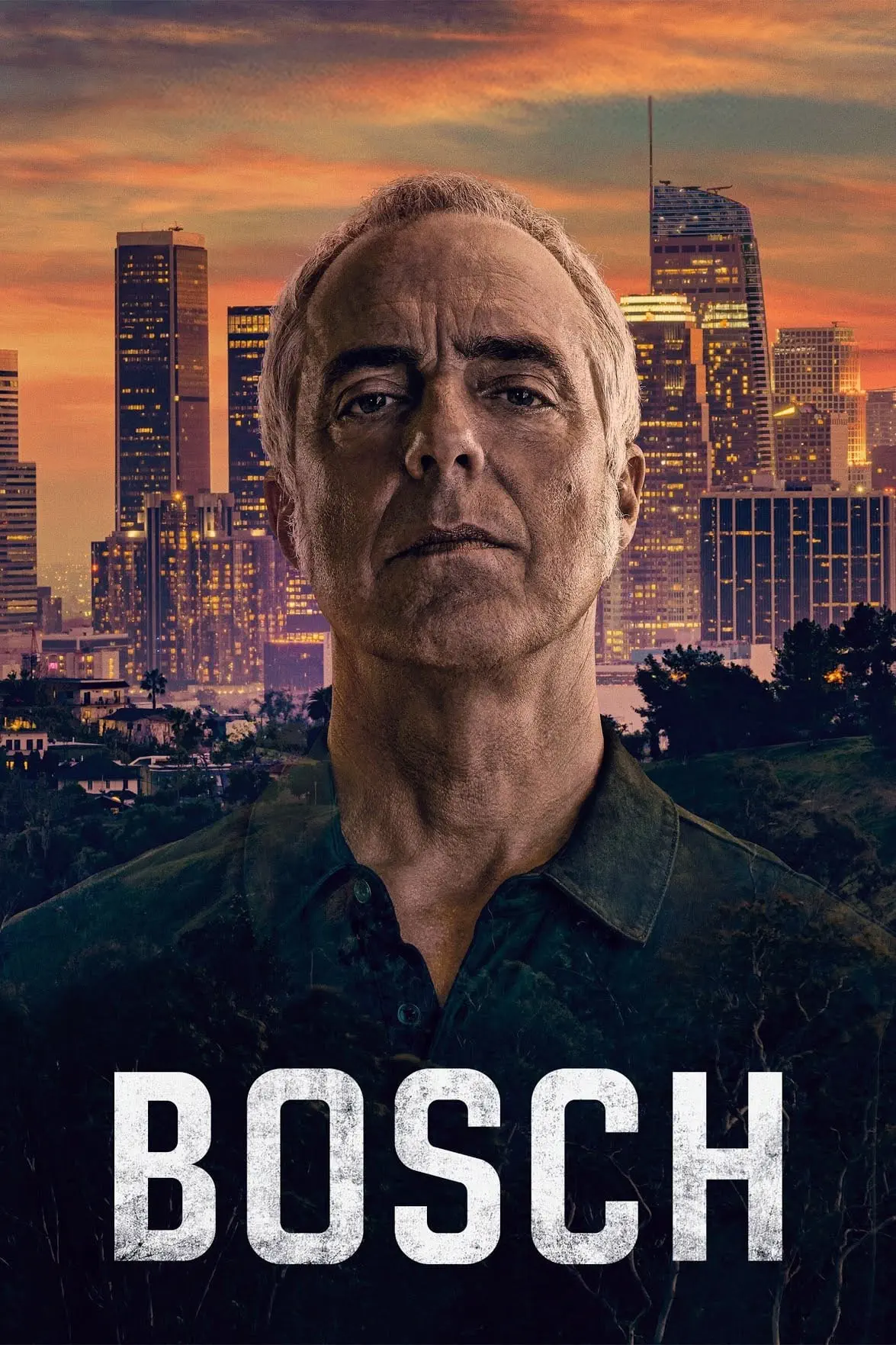 صورة Bosch