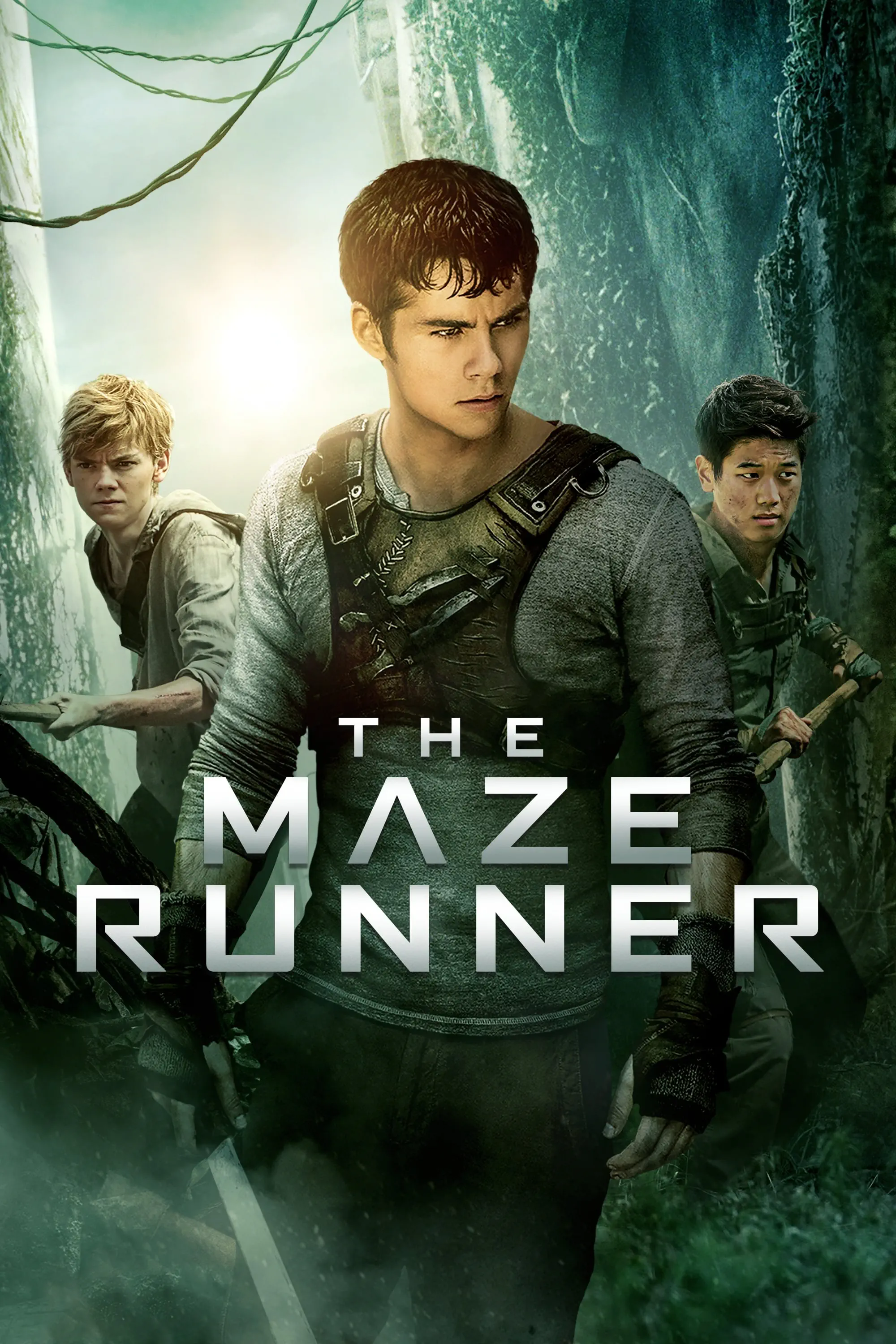 صورة The Maze Runner