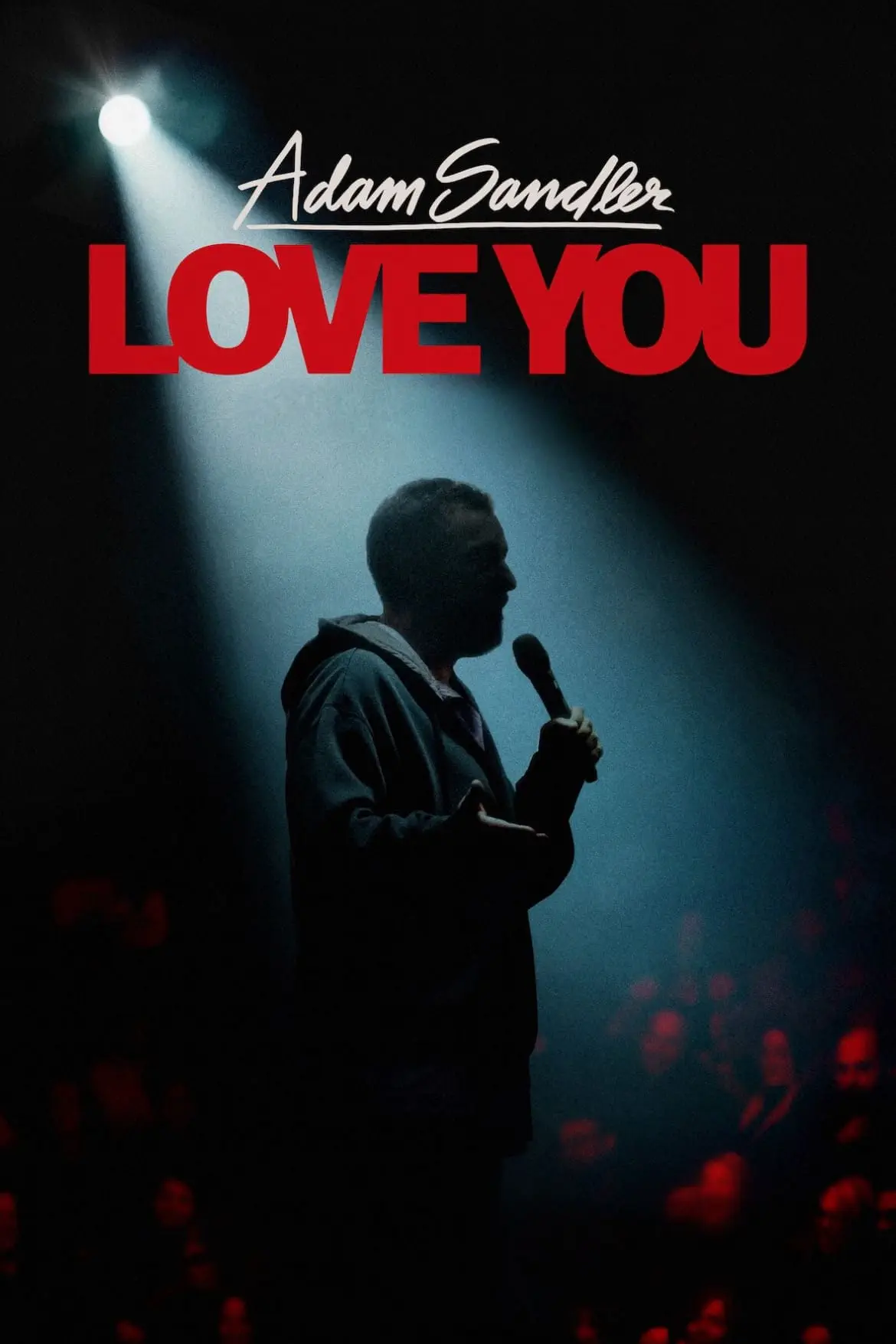 صورة Adam Sandler: Love You