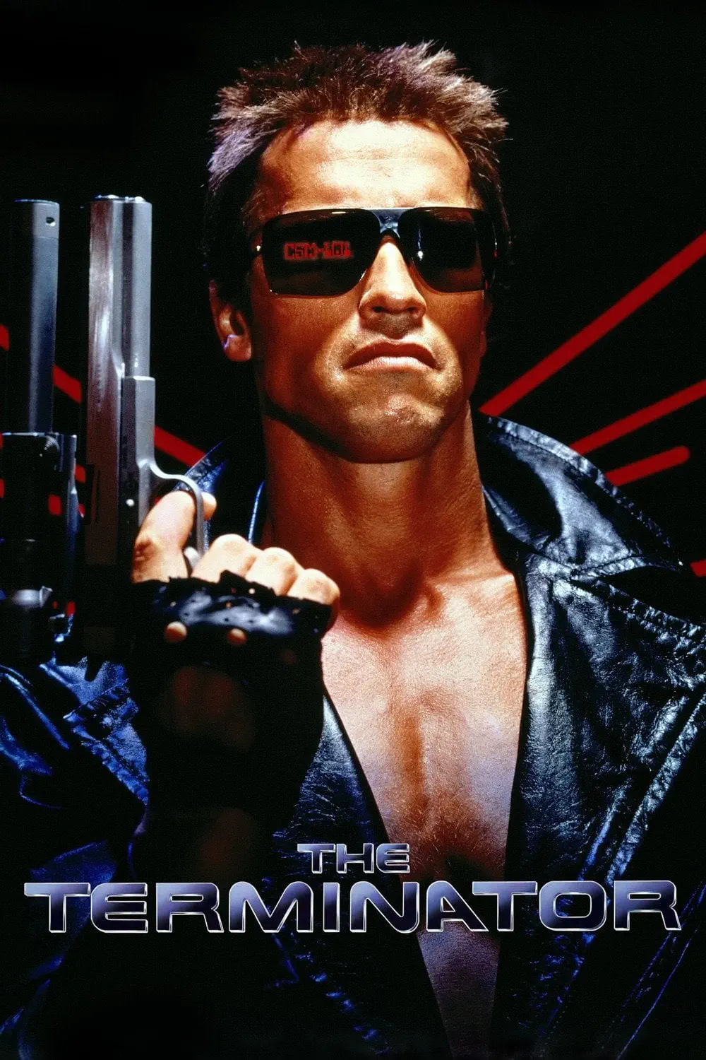 صورة The Terminator